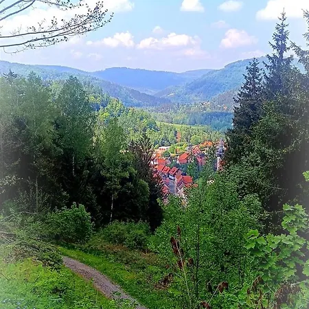 Hafermarkt Hotel Wildemann